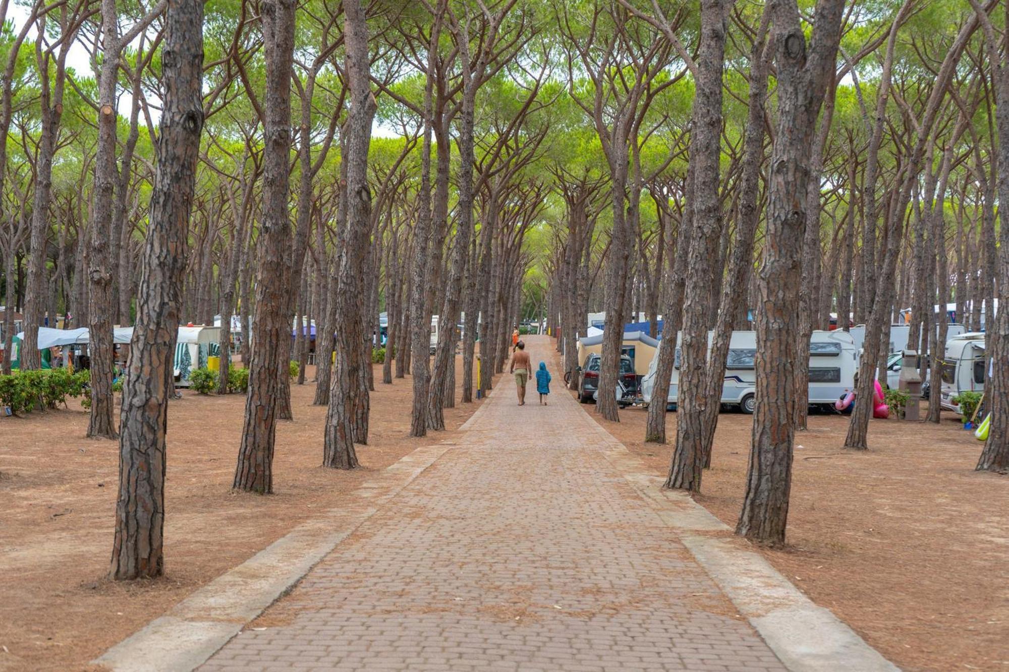 Camping Village Baia Blu La Tortuga Aglientu Exterior photo